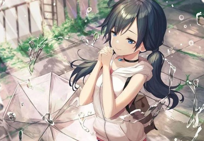 彩神网